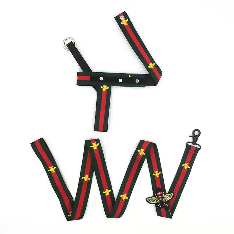 Dachshund Bee Harness & Leash Set - Image 3