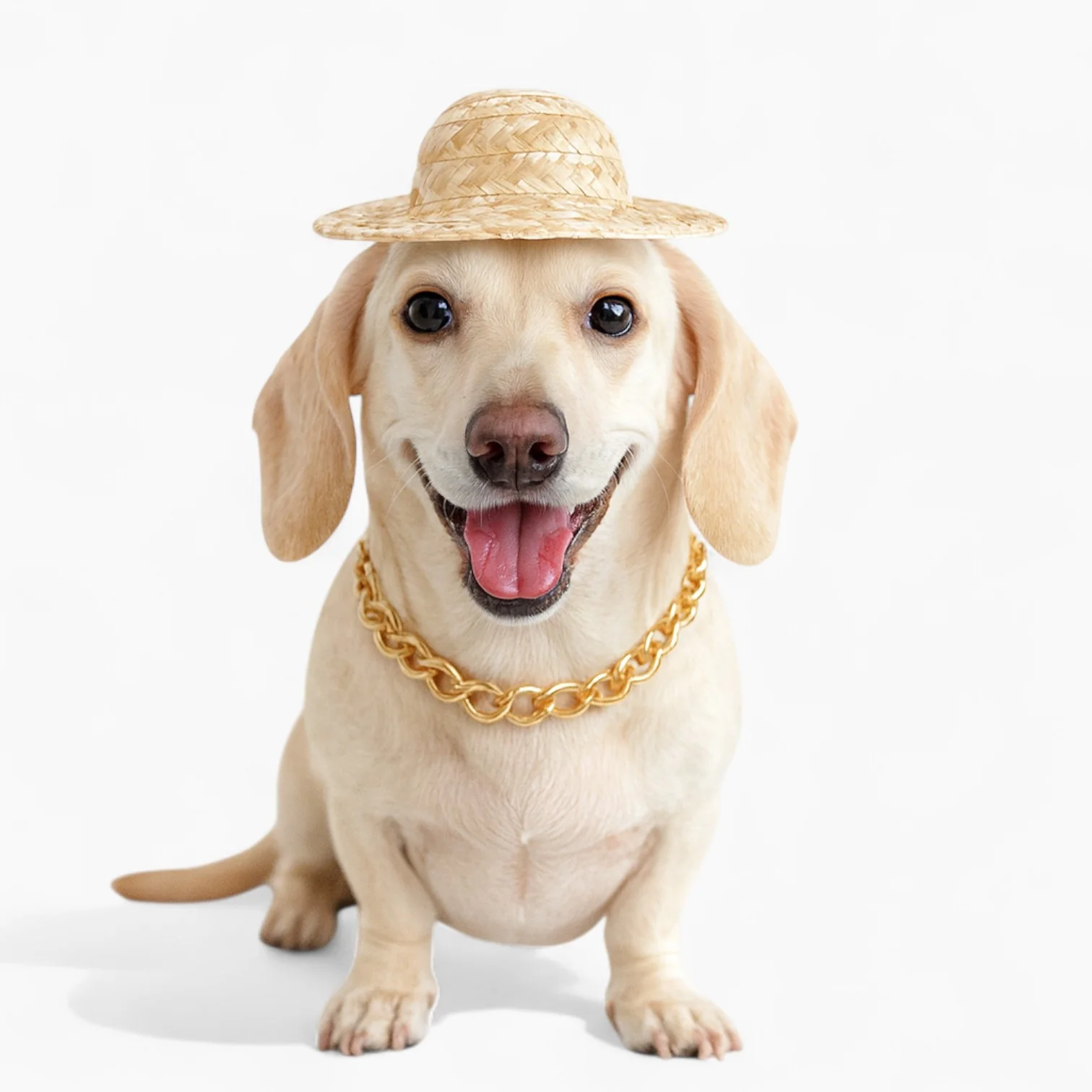 GlamBull Dachshund Gold Necklace – Stylish Plastic Jewelry Chain Collar - Image 6