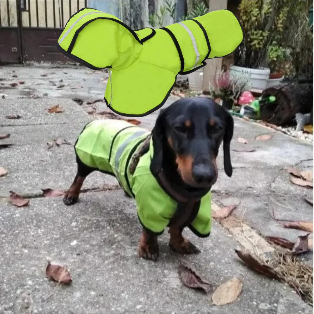GlowPaw Dachshund Raincoat Reflective Waterproof Safety Doxie Jacket - Image 3