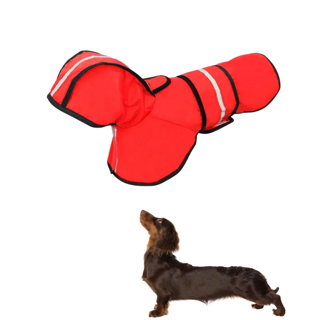 GlowPaw Dachshund Raincoat Reflective Waterproof Safety Doxie Jacket - Image 4