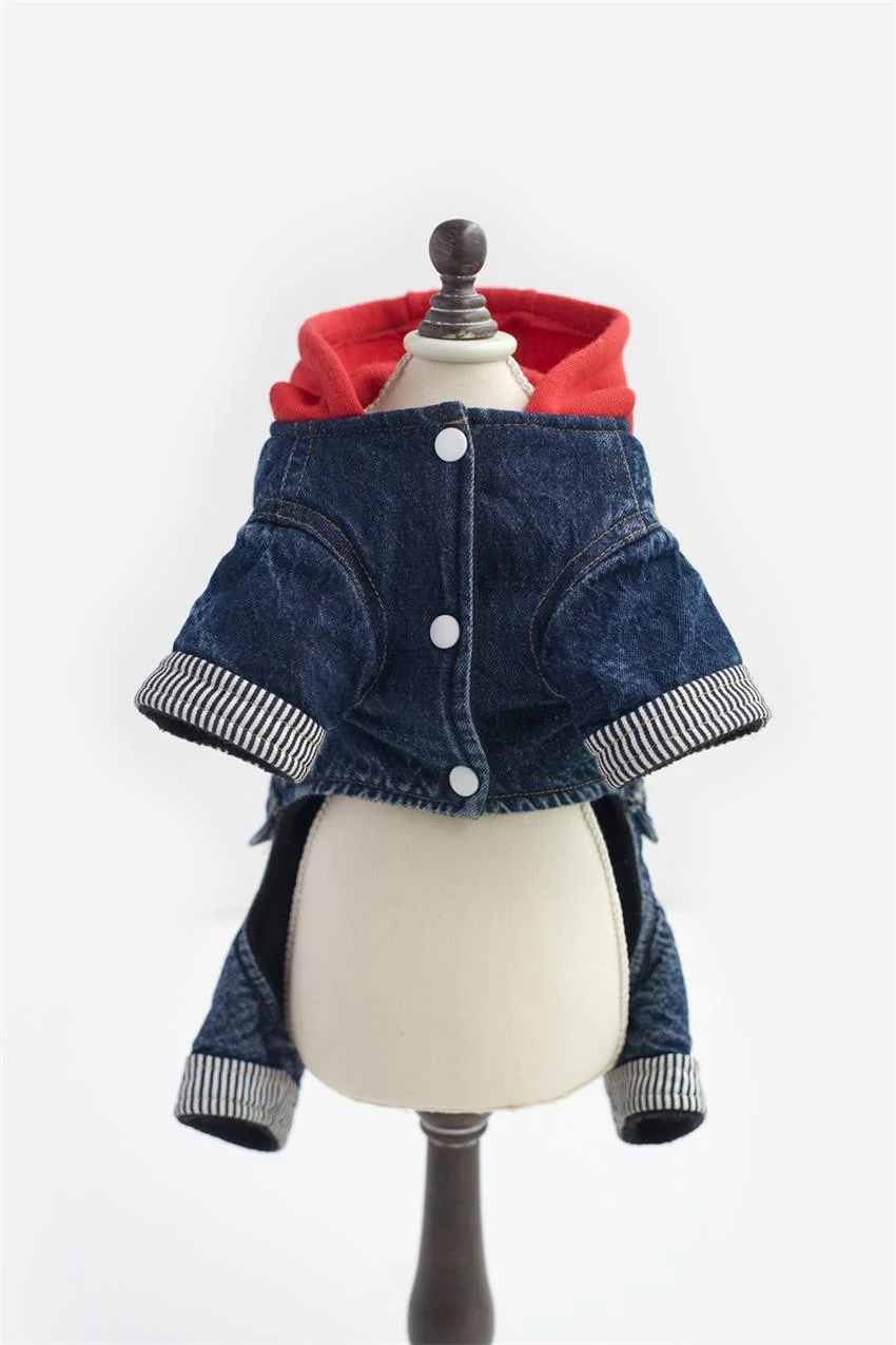 Dachshund Winter Jeans Coat - Image 8