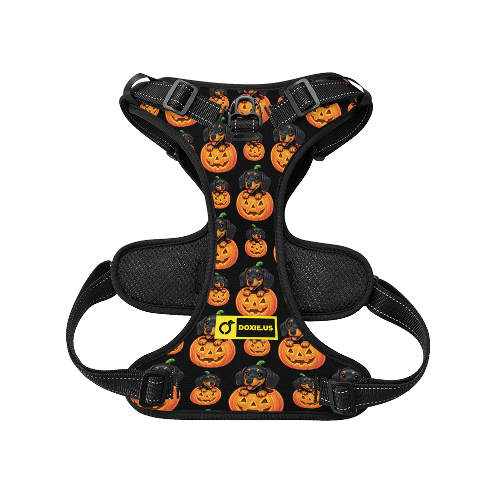 Sadie -  No-Pull Dachshund Dog Harness - Image 6