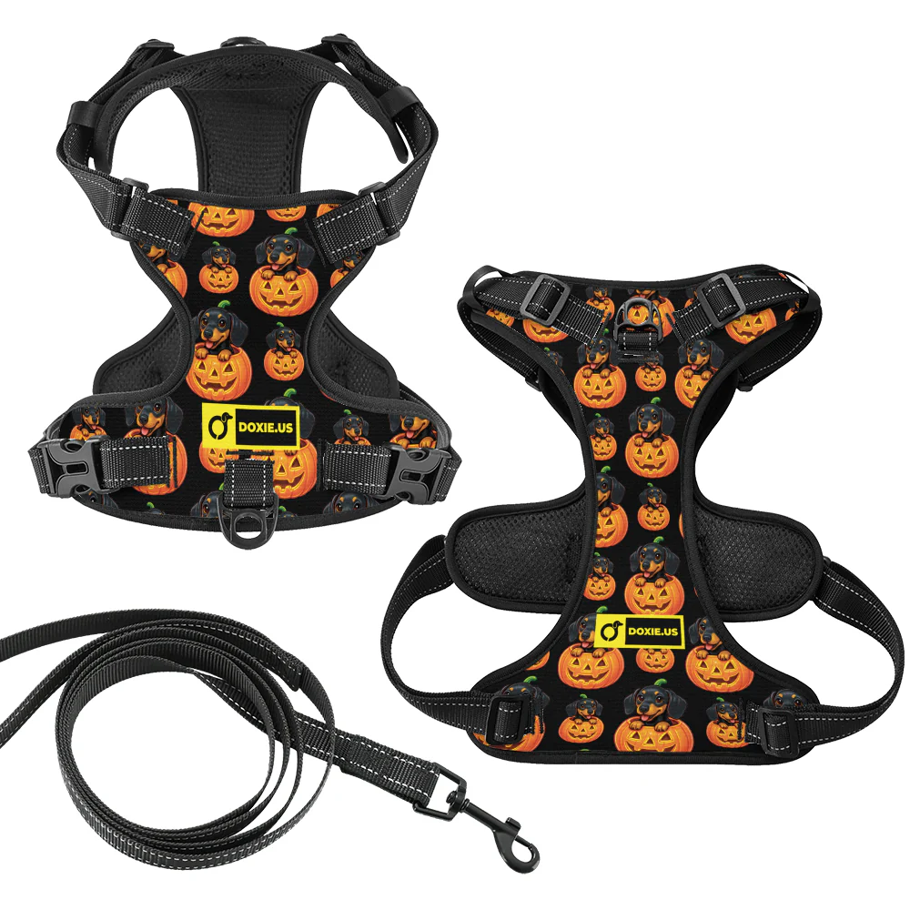 Sadie -  No-Pull Dachshund Dog Harness - Image 7