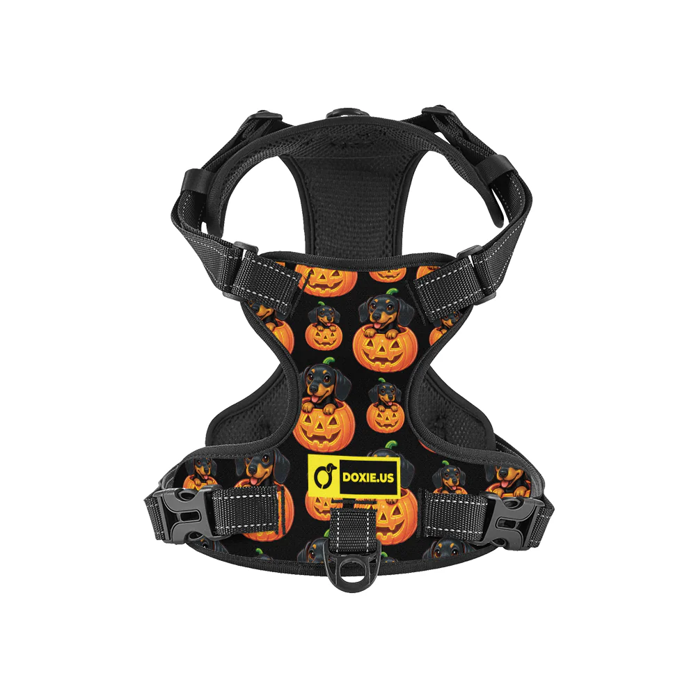 Sadie -  No-Pull Dachshund Dog Harness - Image 8