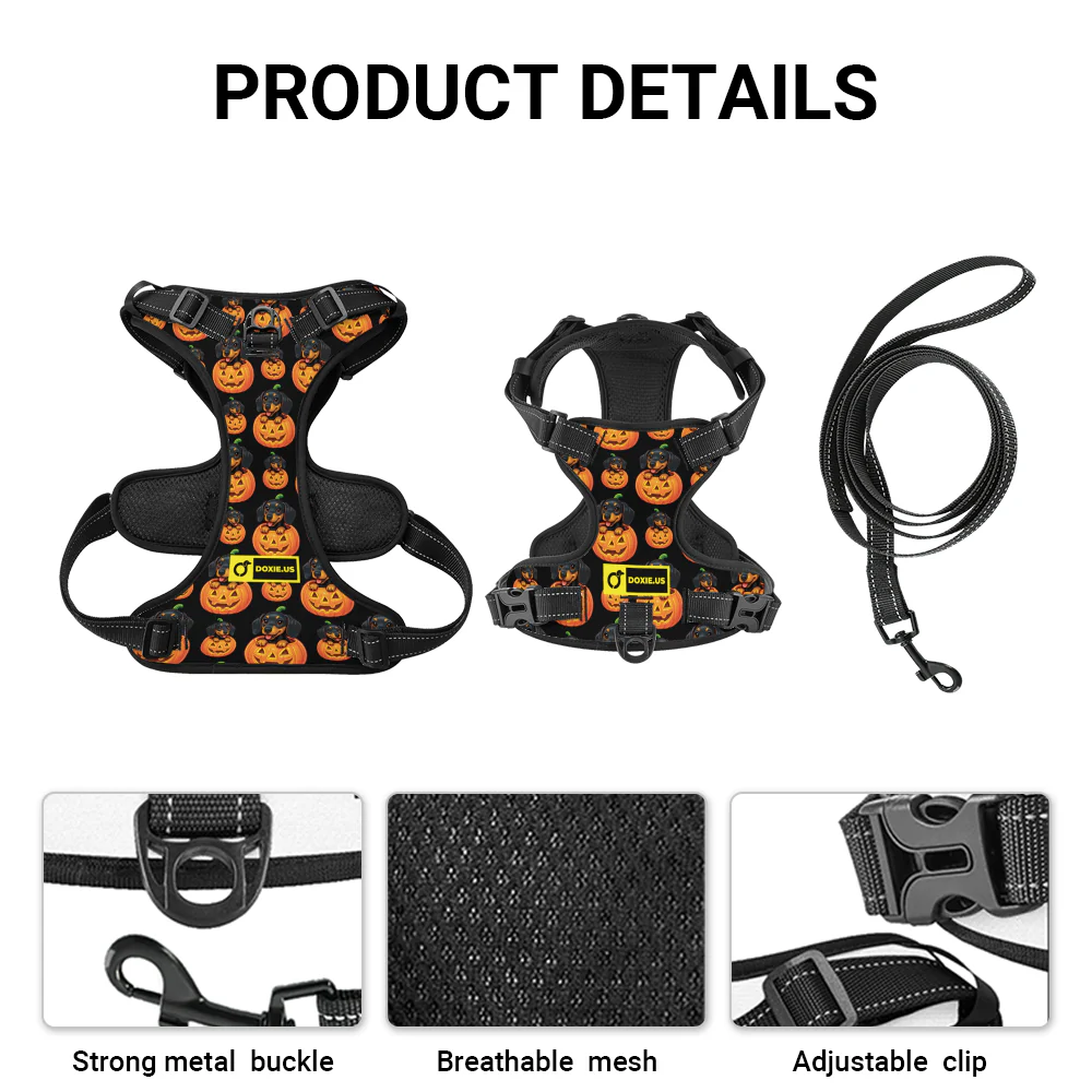 Sadie -  No-Pull Dachshund Dog Harness - Image 9