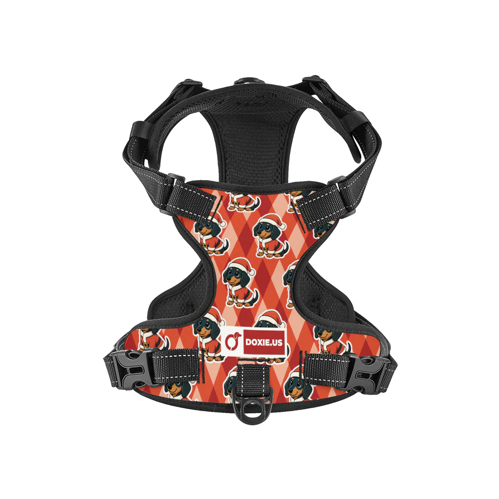 Jack -  No-Pull Dachshund Dog Harness - Image 8