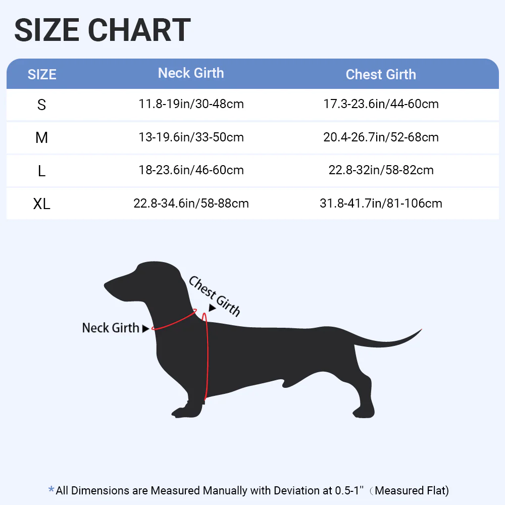 Birdie -  No-Pull Dachshund Dog Harness - Image 11