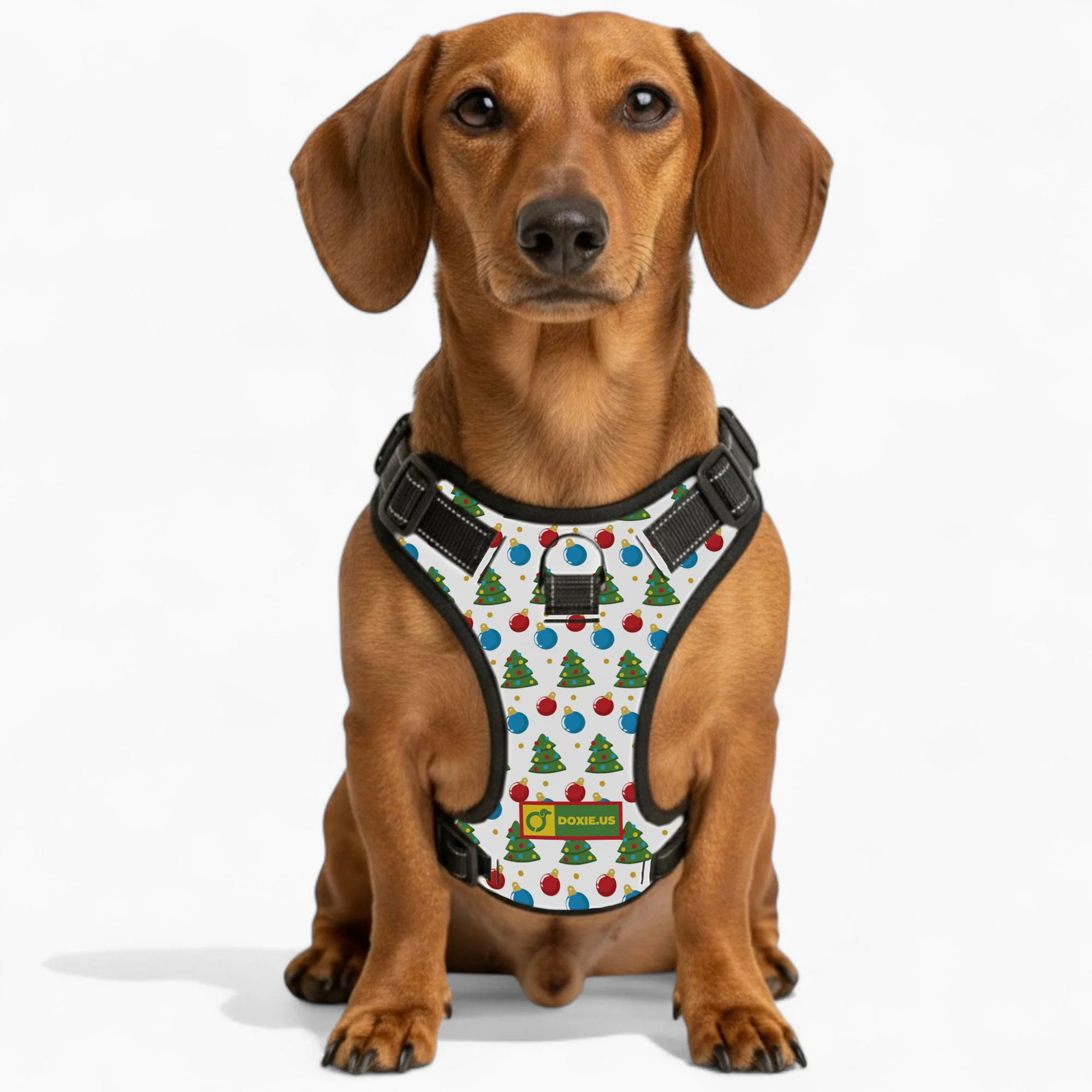 Martha -  No-Pull Dachshund Dog Harness - Image 5
