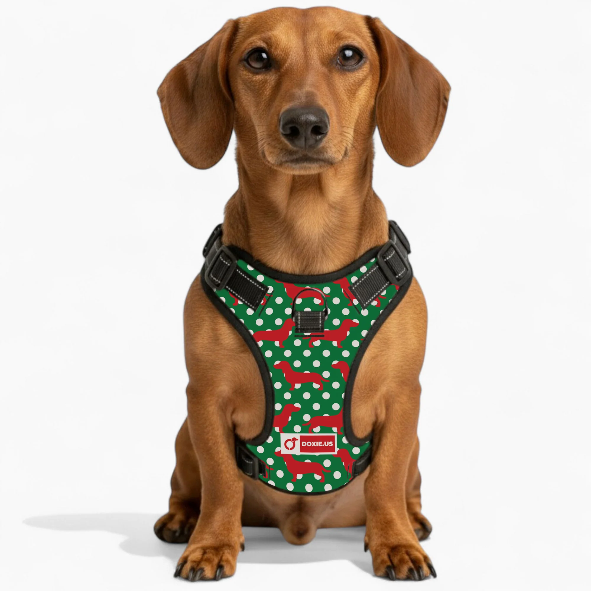 Carly -  No-Pull Dachshund Dog Harness - Image 3