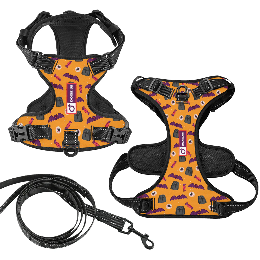 Maggie -  No-Pull Dachshund Dog Harness - Image 7
