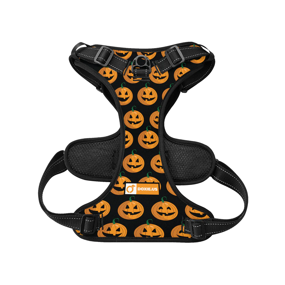 Stella -  No-Pull Dachshund Dog Harness - Image 6