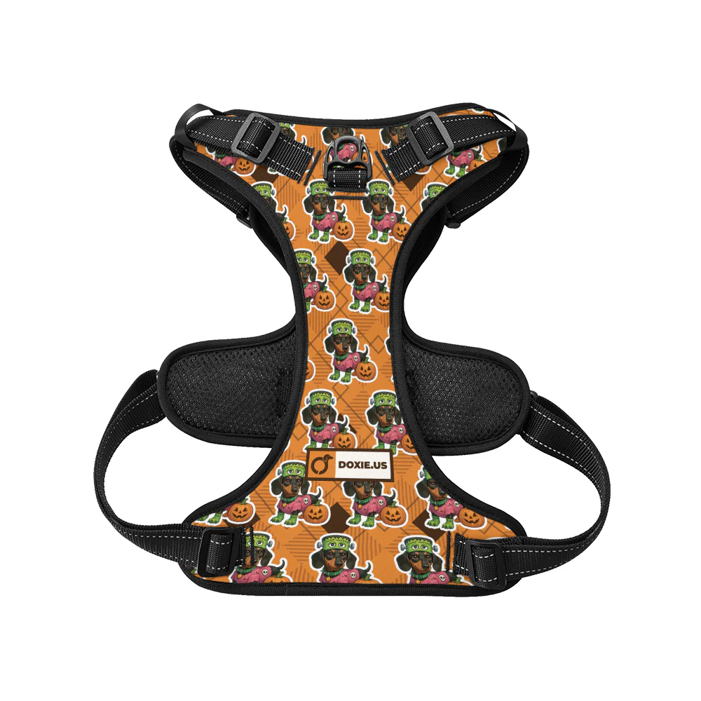Willow -  No-Pull Dachshund Dog Harness - Image 6