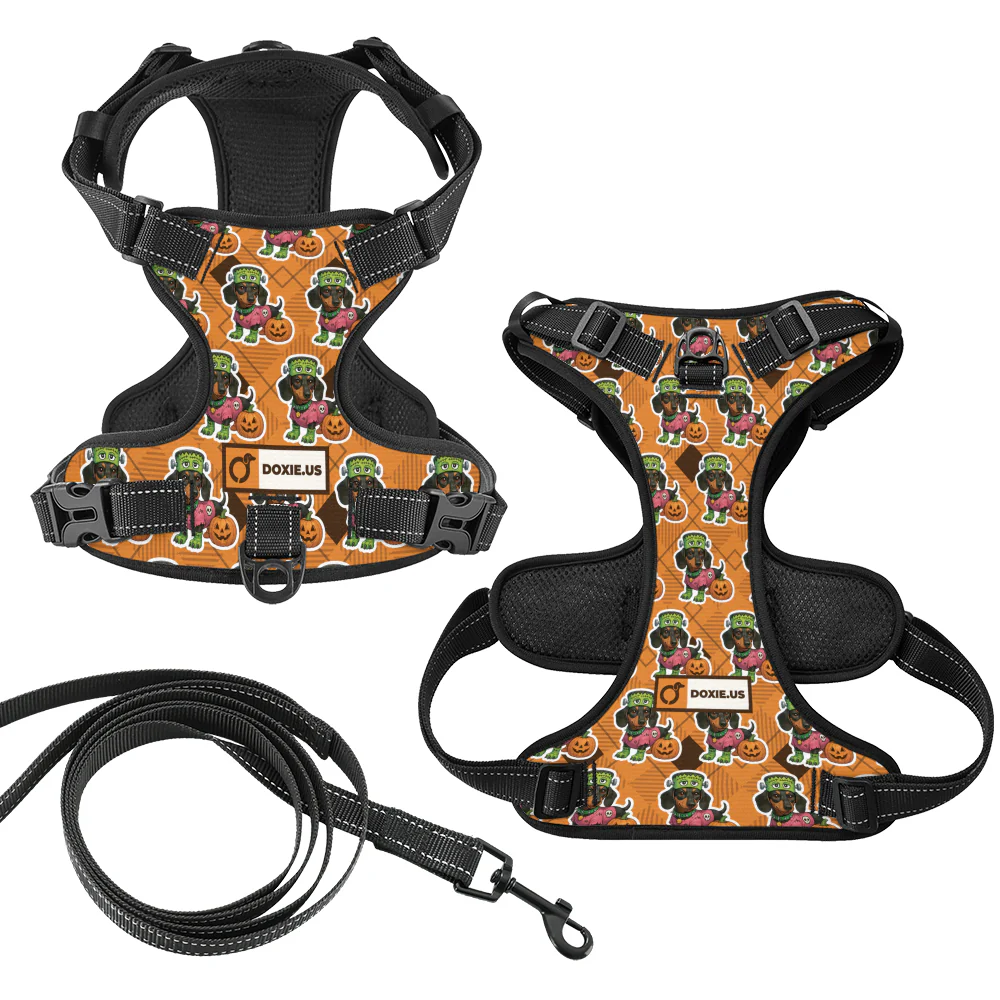 Willow -  No-Pull Dachshund Dog Harness - Image 7