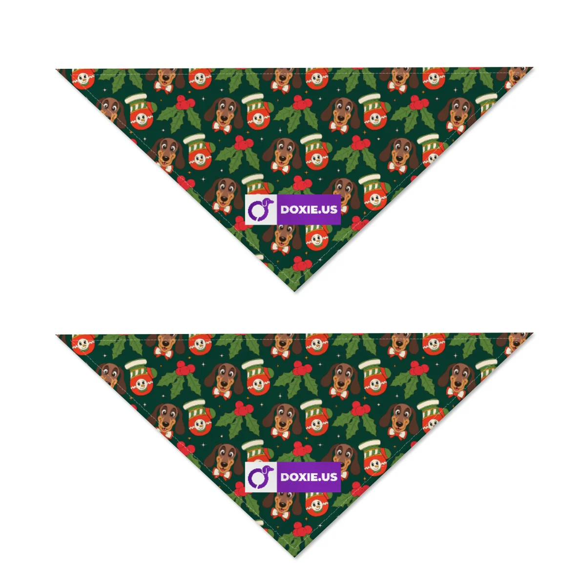 Duke - Bandanas for Dachshunds - Image 3
