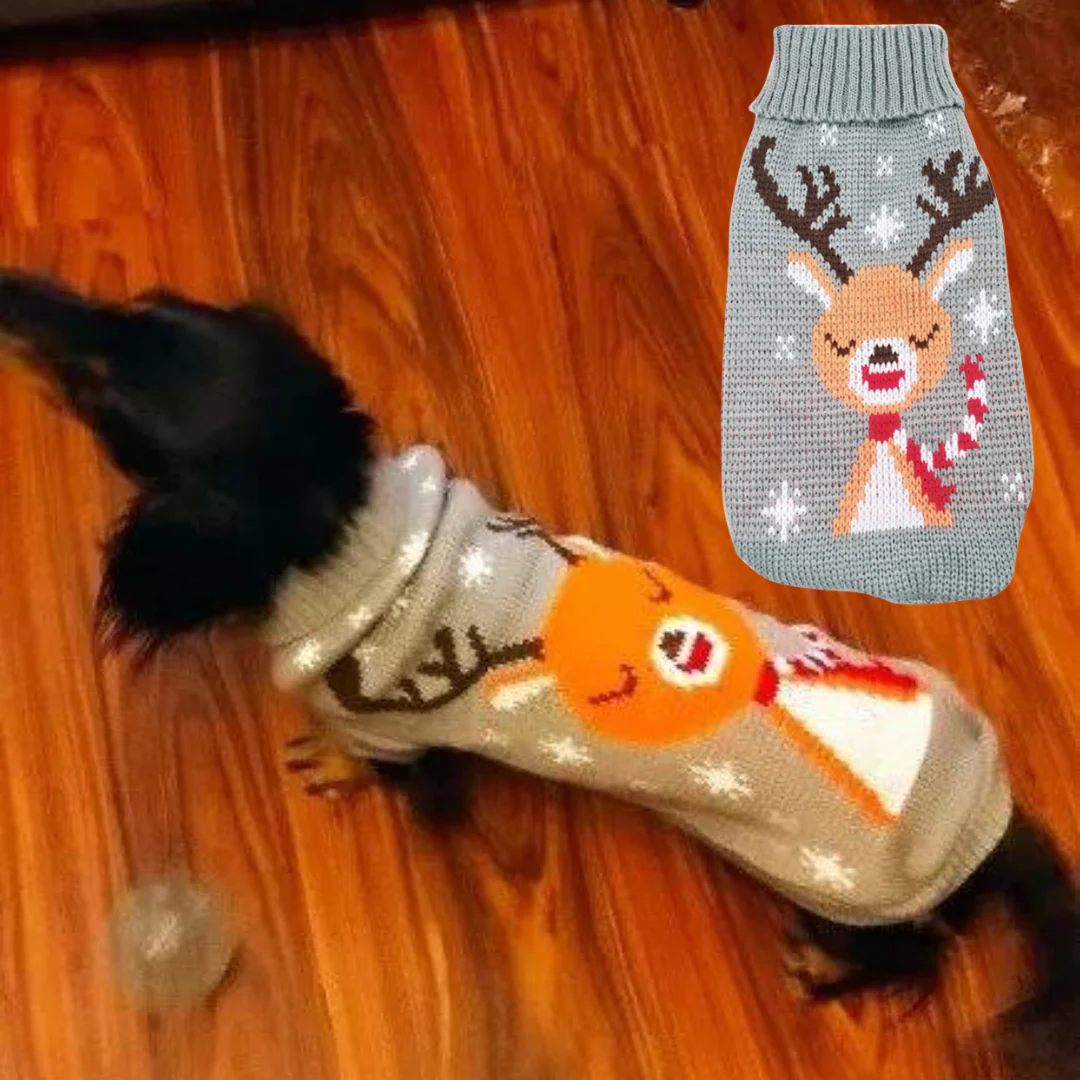 Luxury Dachshund Wool Sweater Christmas Costume - Image 3