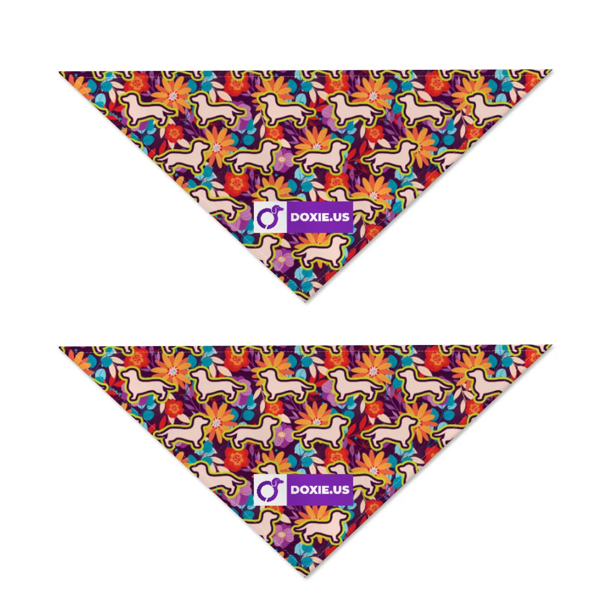 Ollie - Bandanas for Dachshunds - Image 3