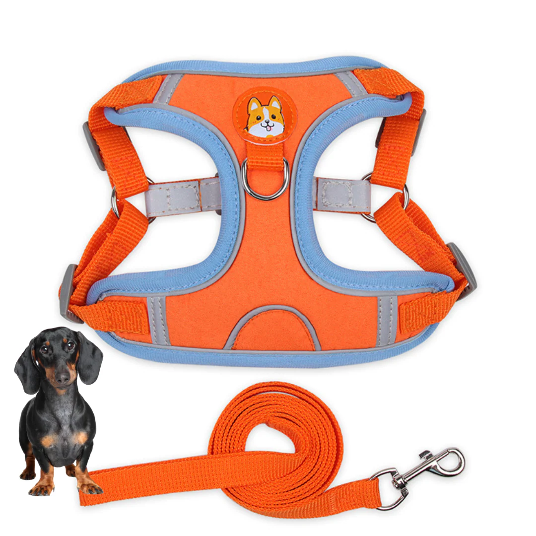 PawStride Doxie Reflective Harness & Leash - Image 5
