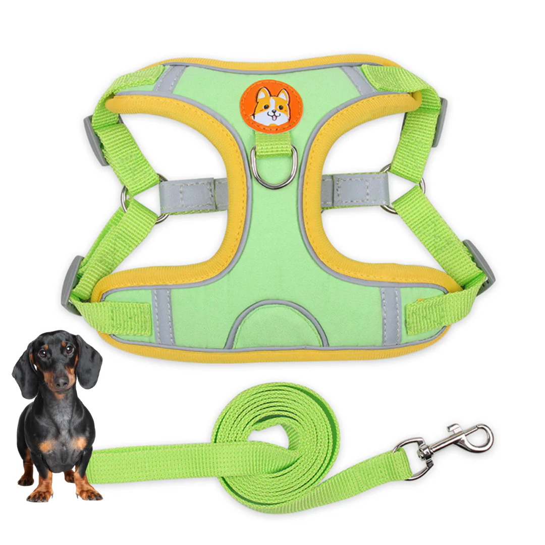 PawStride Doxie Reflective Harness & Leash - Image 7