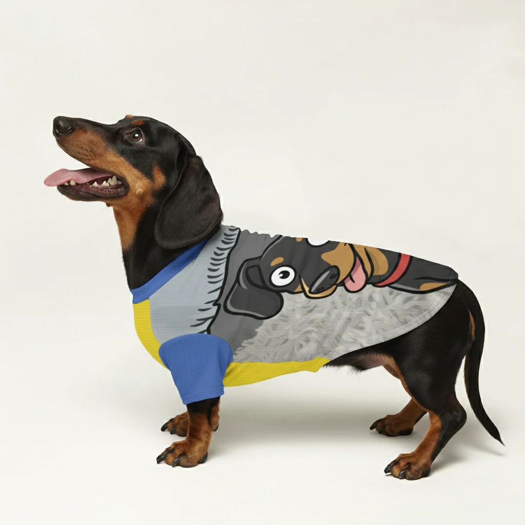 Ducky - Personalized Wool Sweater for Doxie - Image 3