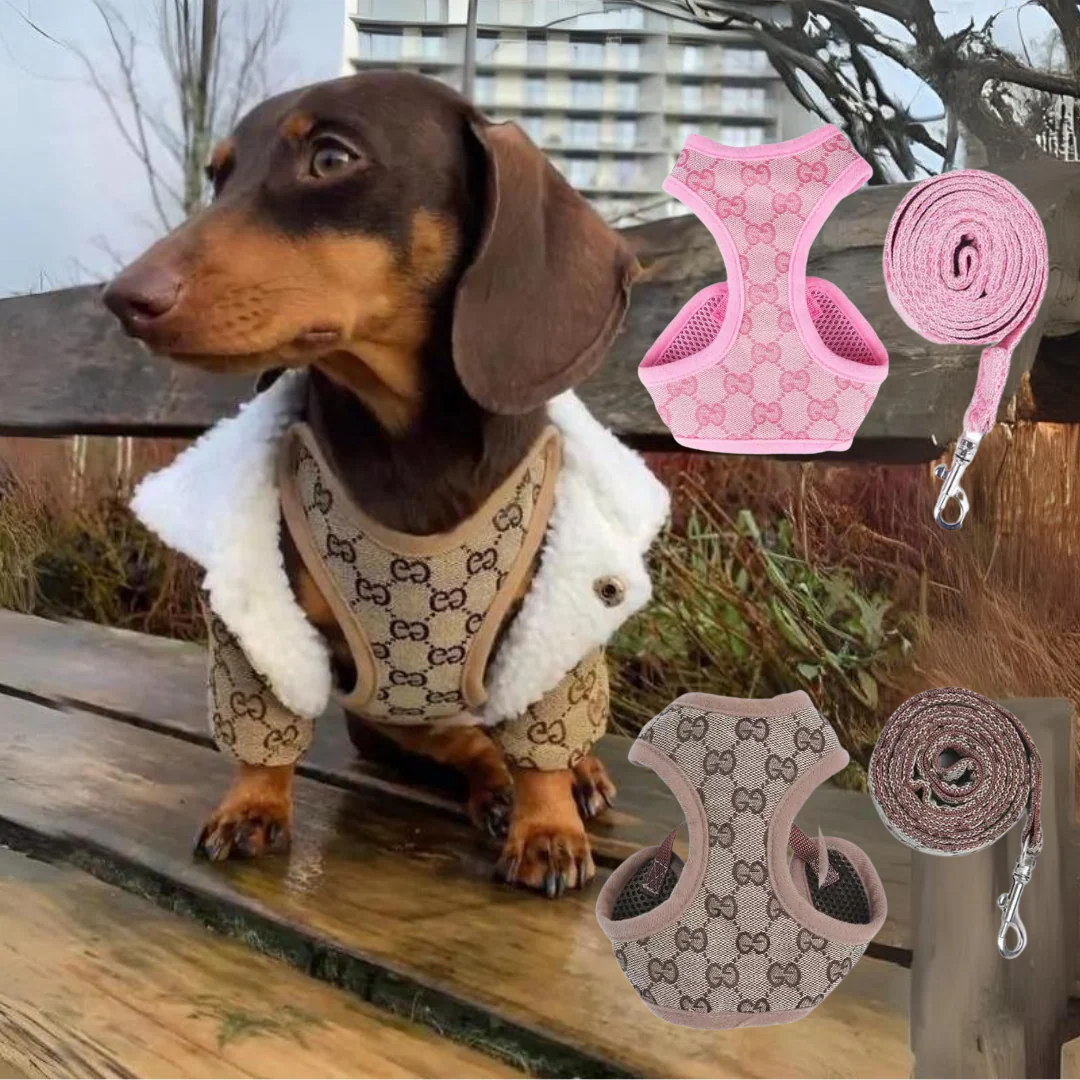 Premium Dachshund Harness and Leash Set - Image 3