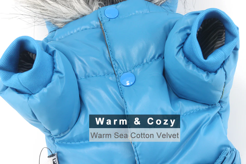 Stylish Dachshund Waterproof Coat I Upgrade Winter Jacket for Puppy - Image 33