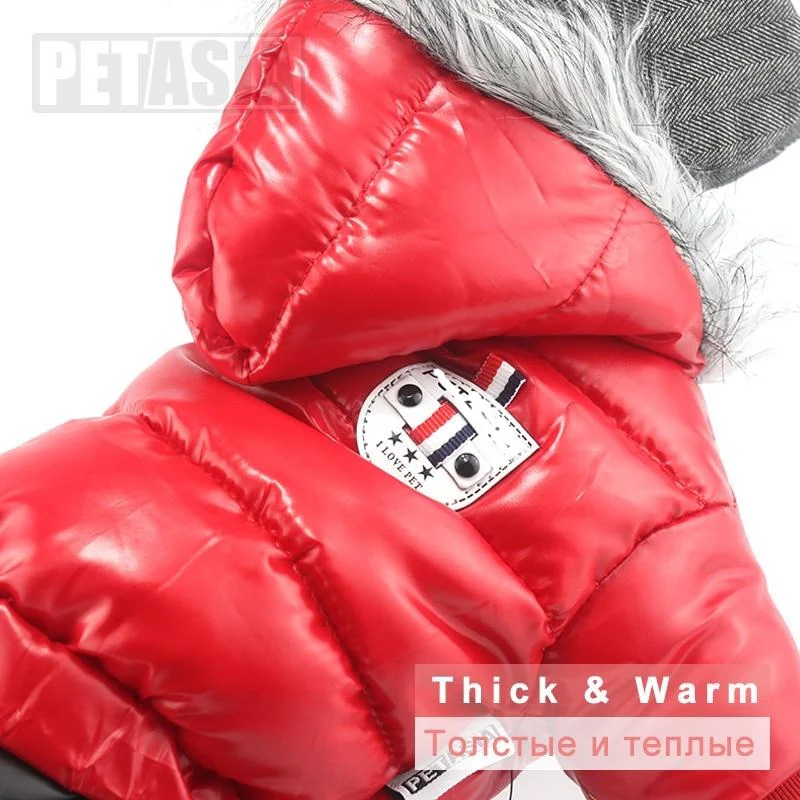Stylish Dachshund Waterproof Coat I Upgrade Winter Jacket for Puppy - Image 38