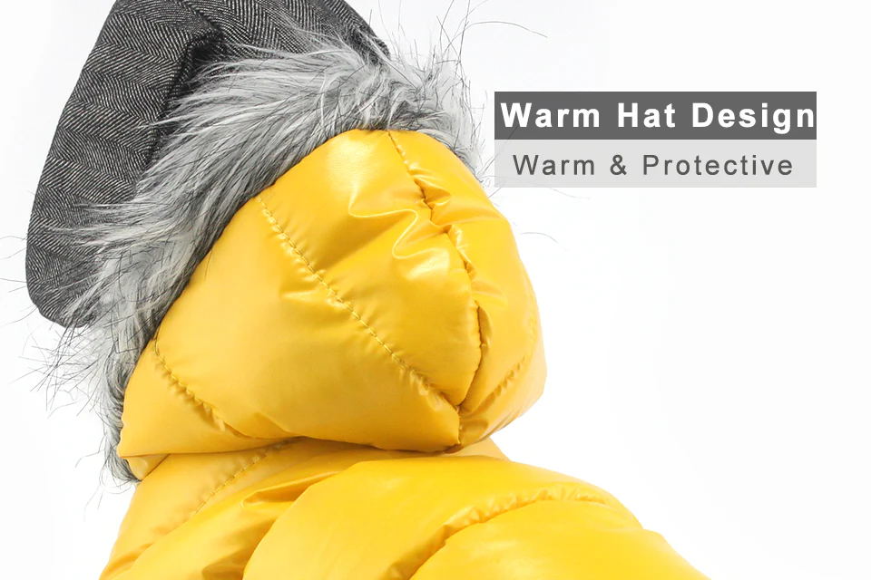 Stylish Dachshund Waterproof Coat I Upgrade Winter Jacket for Puppy - Image 4