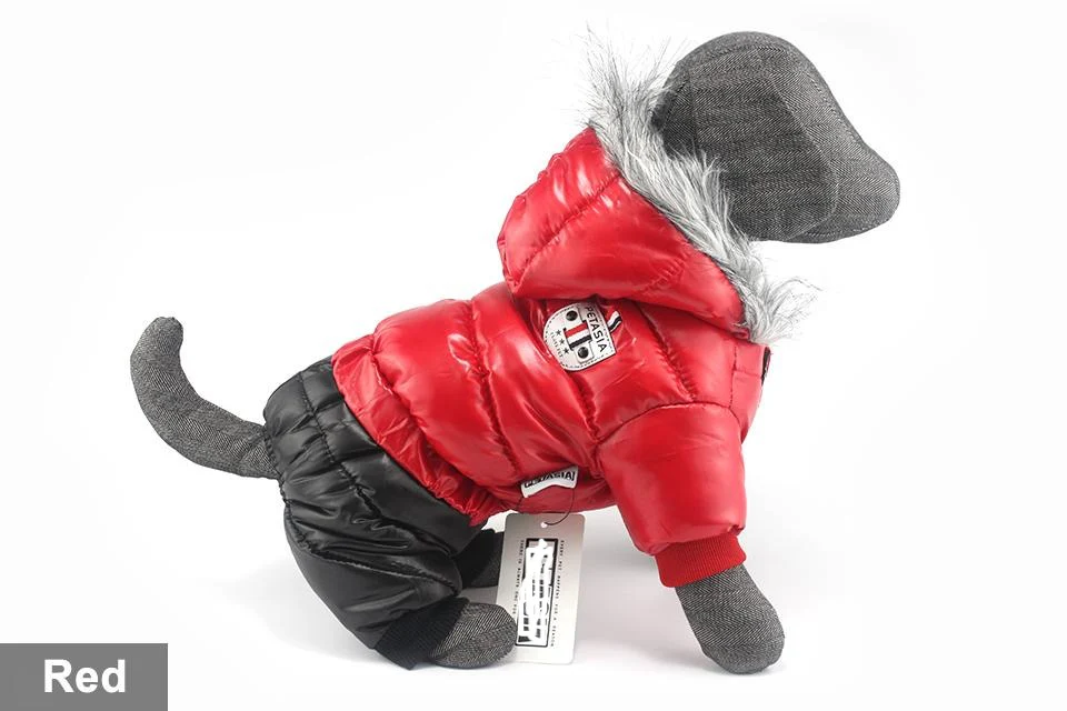 Stylish Dachshund Waterproof Coat I Upgrade Winter Jacket for Puppy - Image 43