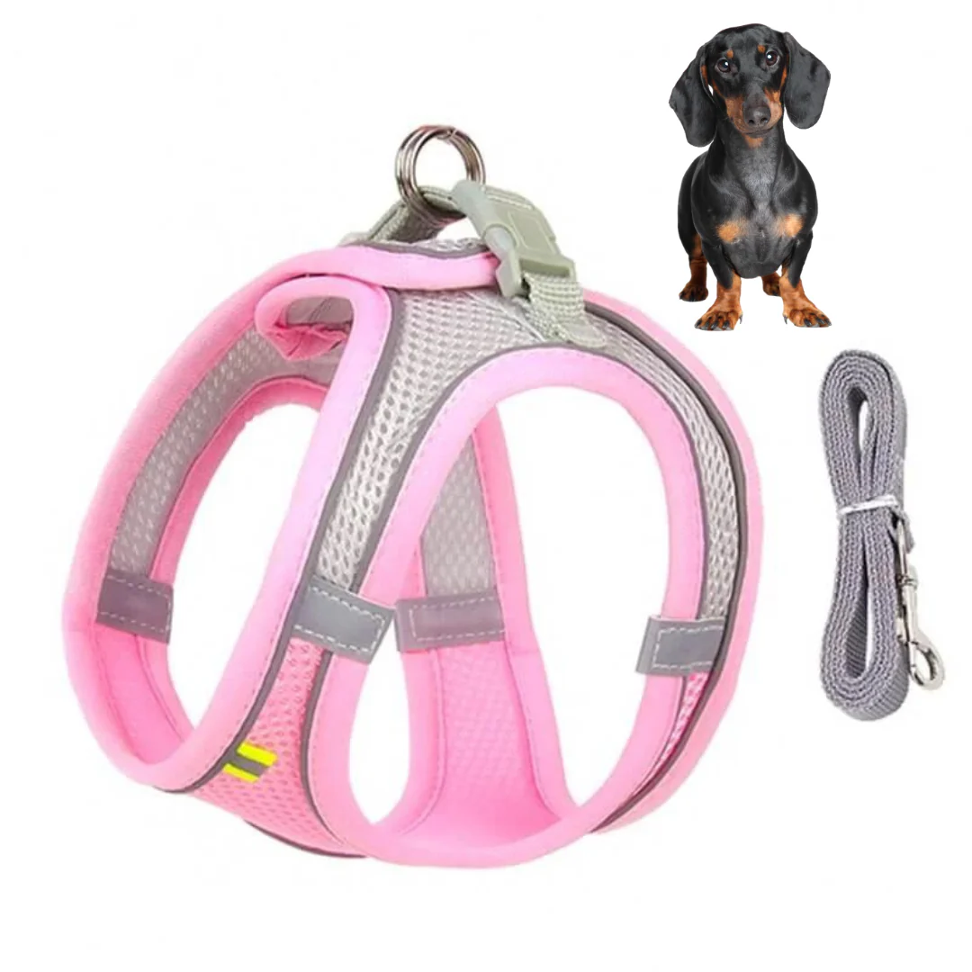 TailTribe Dachshund Reflective Harness and Leash - Image 4