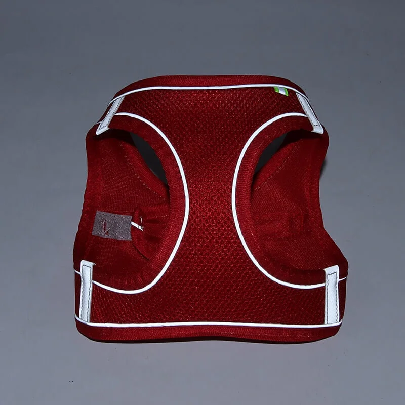 TailTribe Dachshund Reflective Harness and Leash - Image 9